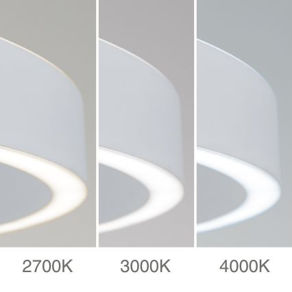 Lustră LED KOLK dimmabilă pe cablu LED/60W/230V 2700/3000/4000K Ø 60 cm alb