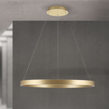 Lustră LED dimabilă suspendată pe cablu KOLK LED/80W/230V 2700/3000/4000K Ø 80 cm, auriu