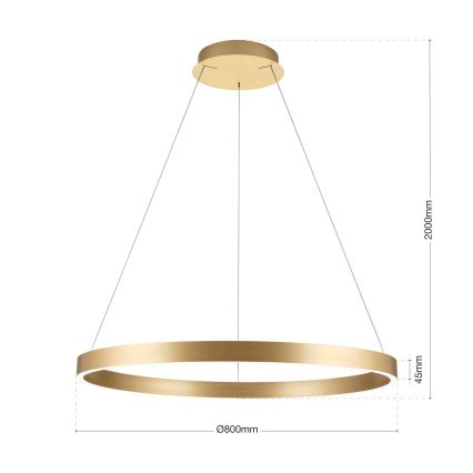 Lustră LED dimabilă suspendată pe cablu KOLK LED/80W/230V 2700/3000/4000K Ø 80 cm, auriu