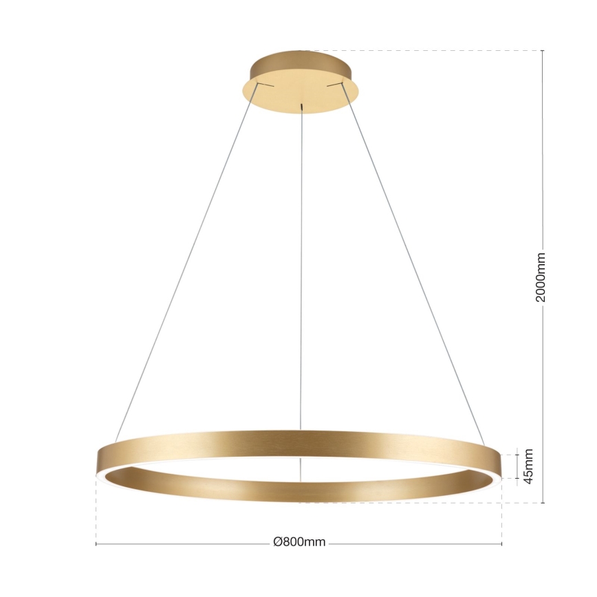 Lustră LED dimabilă suspendată pe cablu KOLK LED/80W/230V 2700/3000/4000K Ø 80 cm, auriu
