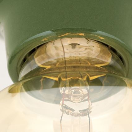 Plafonieră FROST 1xE27/60W/230V verde