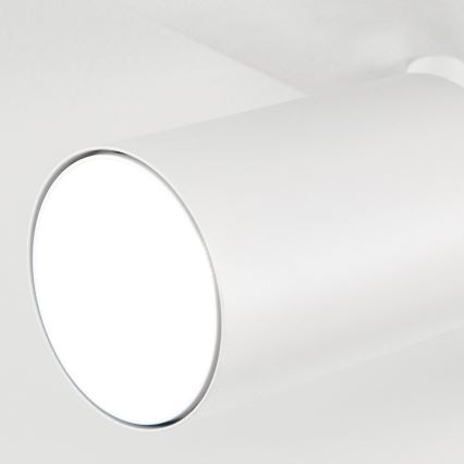 Corp de iluminat tip spot SEAN 5xGU10/13W/230V alb