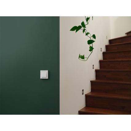 Osram - Întrerupător cu 2 butoane SMART+ MATTER 230V Wi-Fi