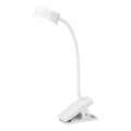 Osram - Lampă de birou LED reglabilă cu clemă OFFICE LINE LED/4,8W/230V 3000/4000/6500K albă