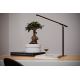Osram - Lampă de masă LED PANAN 1xLED/5W/230V