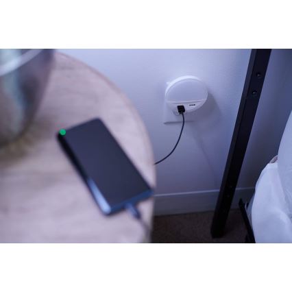 Osram - Lampă de veghe LED pentru priză cu senzor LUNETTA 2xUSB LED/13W/230V
