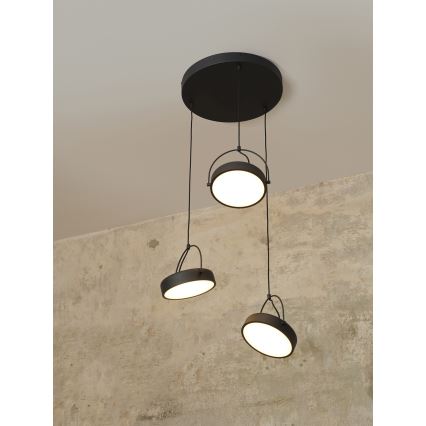 Osram - Lampă suspendată pe cablu LED DECOR PUCK 3xLED/12W/230V CRI 90 negru