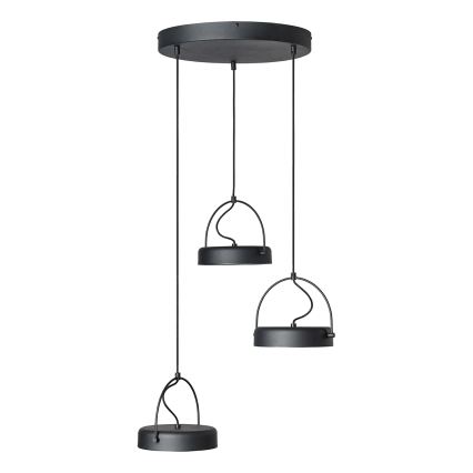 Osram - Lampă suspendată pe cablu LED DECOR PUCK 3xLED/12W/230V CRI 90 negru