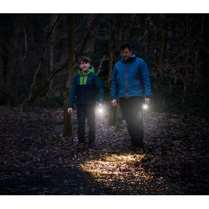 Osram - LEDINSPECT TORCH 350 ESSENTIAL, lanternă LED reglabilă, 4W, 2xAAA, IP44