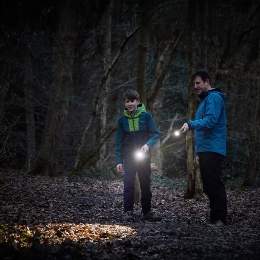 Osram - Lanternă LED reglabilă LEDINSPECT TORCH 450 ESSENTIAL LED/6W/3xAAA IP44