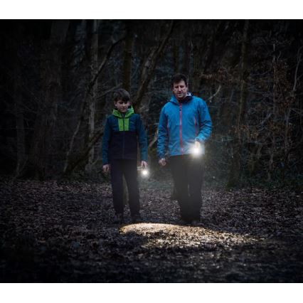 Osram - Lanternă LED reglabilă LEDINSPECT TORCH 450 ESSENTIAL LED/6W/3xAAA IP44