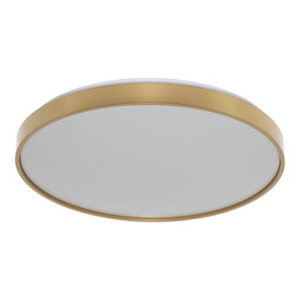 Osram - Plafonieră LED CEILING LUXO LED/36W/230V Ø 49 cm auriu