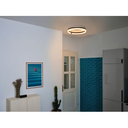 Osram - Plafonieră LED DECOR CIRCLE, 32W/230V, 3000/4000/6500K, Ø 50 cm, negru/alb