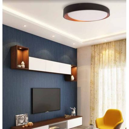 Plafonieră LED ADEL LED/40W/230V