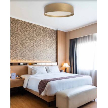 Plafonieră LED SOFIE LED/50W/230V