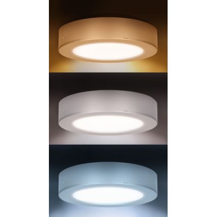 Panou LED 2-în-1 pentru montaj aplicat/încastrat LED/12W/230V 3000/4000/6000K Ø17 cm IP54 argintiu