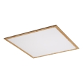 Panou LED aplicat LED/40W/230V 4000K Rabalux