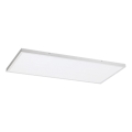 Panou LED aplicat Rabalux LED/80W/230V 4000K 120x60 cm
