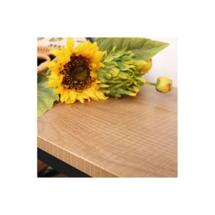 Pantofar DAVOR maro/negru