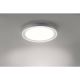 Paul Neuhaus 16480-17 - LED RGB Lumina de tavan pentru baie DS-LARS LED/28W/230V IP44 + telecomandă