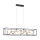 Paul Neuhaus 2416-18 - LED Lustră dimmabilă pe cablu SELINA 4xLED/10,2W/230V