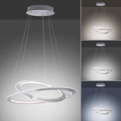 Paul Neuhaus 2491-55 - Candelabru LED reglabil pe cablu ALESSA 2xLED/26W/230V cu telecomandă