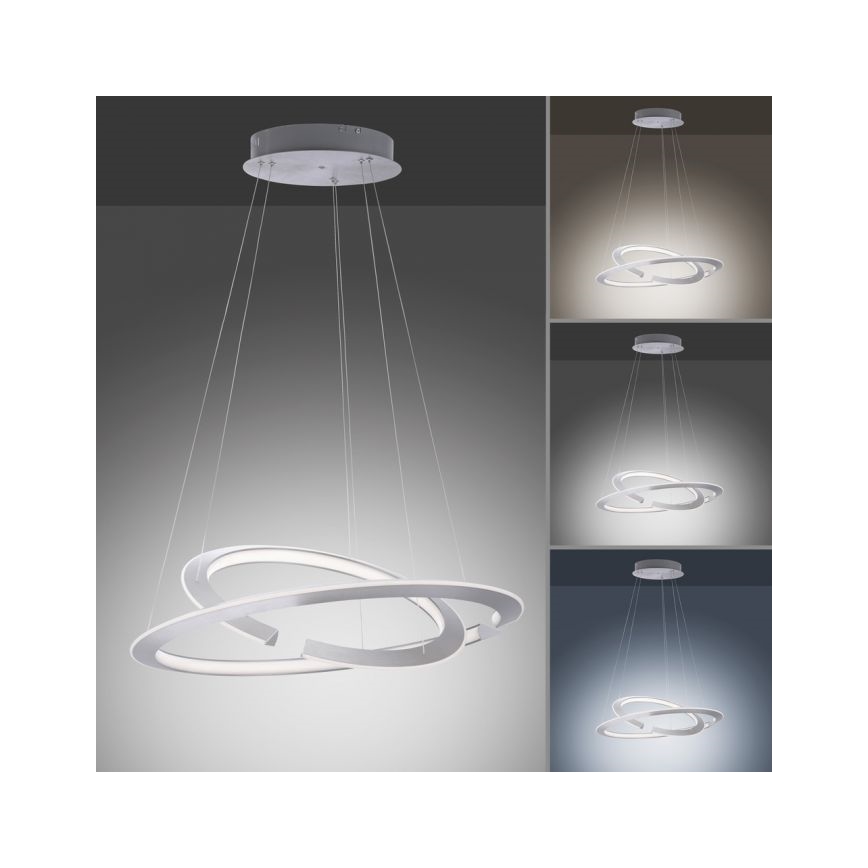 Paul Neuhaus 2491-55 - Candelabru LED reglabil pe cablu ALESSA 2xLED/26W/230V cu telecomandă