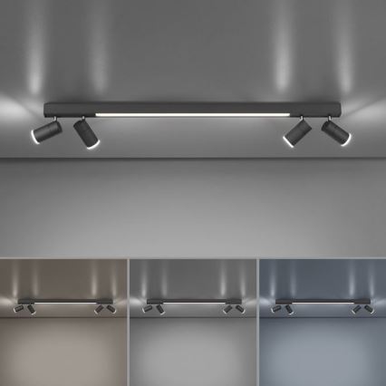 Paul Neuhaus 6121-13 - Spot LED reglabil PURE 4xLED/4W/230V + LED/9W 2700-5000K + telecomandă