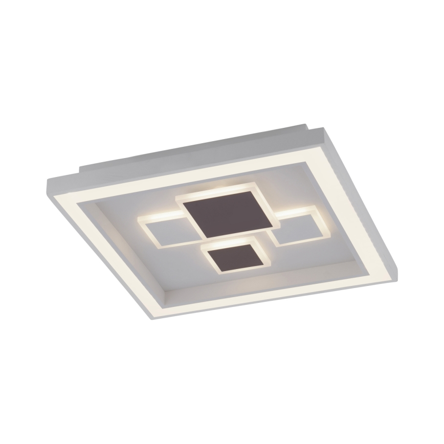 Paul Neuhaus 6283-16 - LED Plafonieră dimmabilă ELIZA LED/30W/230V + LED/18,5W