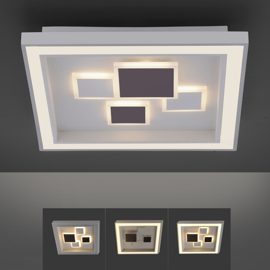 Paul Neuhaus 6283-16 - LED Plafonieră dimmabilă ELIZA LED/30W/230V + LED/18,5W