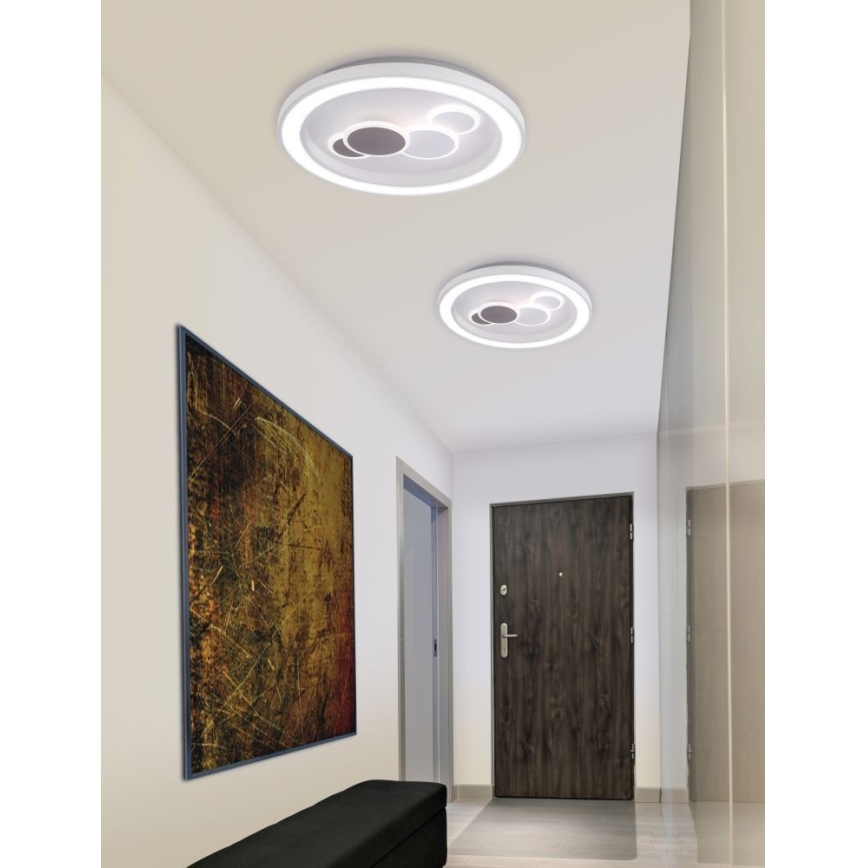 Paul Neuhaus 6284-16 - Plafonier LED ELIZA LED/55,5W/230V diametru 60 cm