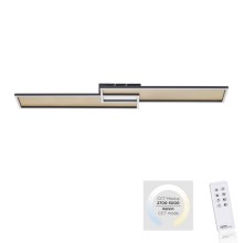 Paul Neuhaus 8371-18 - Lumină de tavan LED Dimmer AMARA LED/40W/230V + telecomandă