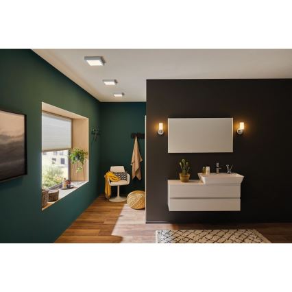 Paulmann 70648 - LED/11W Plafonieră ALBIA 230V