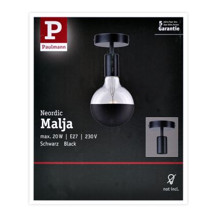 Paulmann 79760 - Plafonieră HALDOR 1xE27/20W/230V