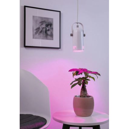 Paulmann 79767 - Lustră LAVEA LED RGBW 1xE27/9W, 230V, pe cablu, albă
