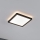 Paulmann 79920 - Panou LED dimabil ATRIA 11,2 W, 230 V, 3000 K, 19 x 19 cm, negru