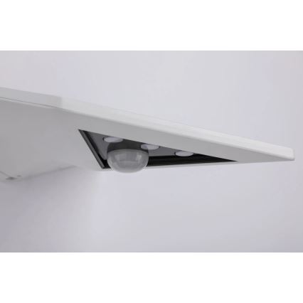 Paulmann 94244 YOKO - Aplică solară de perete LED 1,2 W, IP44, cu senzor, 3,7 V 1800 mAh, albă