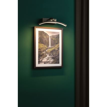 Paulmann 95559 - LED/6W Lampă pentru tablouri BENTO 230V 30 cm alamă