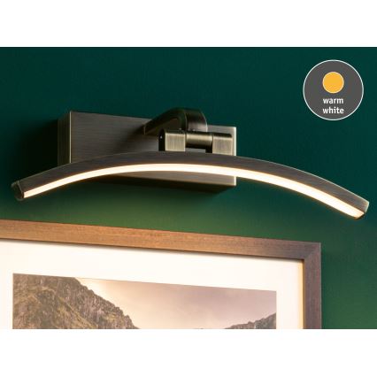 Paulmann 95559 - LED/6W Lampă pentru tablouri BENTO 230V 30 cm alamă