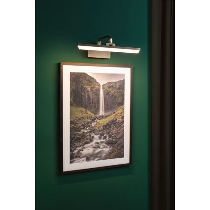 Paulmann 95569 - Lampă pentru tablouri RENAN LED/9,5W 230V 40 cm alamă