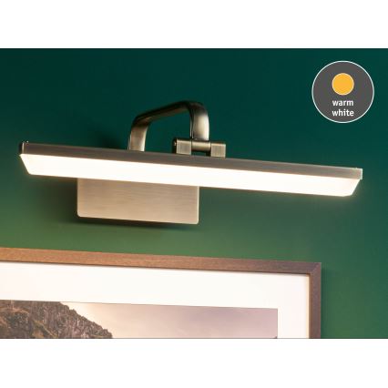 Paulmann 95569 - Lampă pentru tablouri RENAN LED/9,5W 230V 40 cm alamă