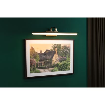 Paulmann 95570 - Lampă LED pentru tablouri RENAN, 11W, 230V, 60 cm, alamă