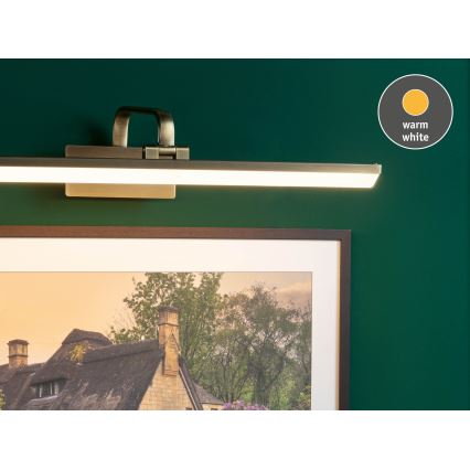 Paulmann 95570 - Lampă LED pentru tablouri RENAN, 11W, 230V, 60 cm, alamă