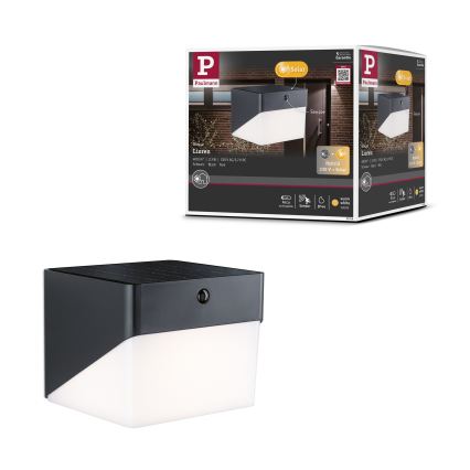 Paulmann 95746 - LED/2,3W IP44 Aplică solară de perete cu senzor EILEEN 3,7/230V 4000 mAh neagră
