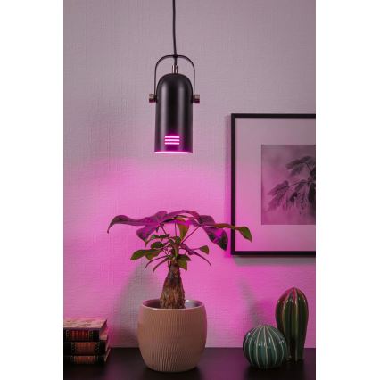 Paulmann LAVEA 79766 - Lustră suspendată pe cablu LED RGBW 1xE27/9W 230V, neagră