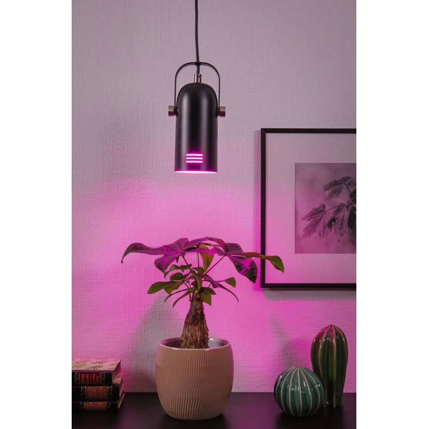 Paulmann LAVEA 79766 - Lustră suspendată pe cablu LED RGBW 1xE27/9W 230V, neagră
