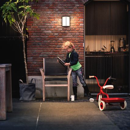 Philips 16464/93/16 - LED Corp de iluminat perete exterior MYGARDEN STOCK 1xLED/6W