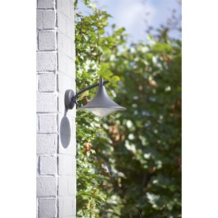 Philips 17207/93/16 - Corp de iluminat perete exterior MYGARDEN CEDAR 1xE27/15W/230V