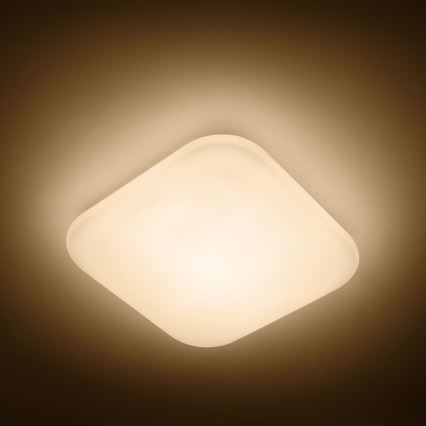 Philips 31110/31/P0 - Plafoniera LED MAUVE 1xLED/17W/230V