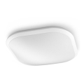 Philips 32810/31/P3 - Plafonier LED reglabil CANAVAL LED/18W/230V